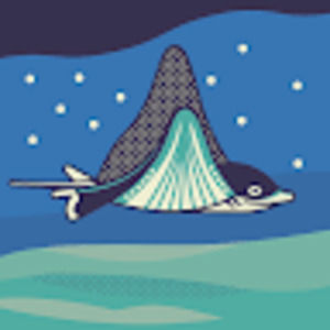 Meet your Posher, Phoebe